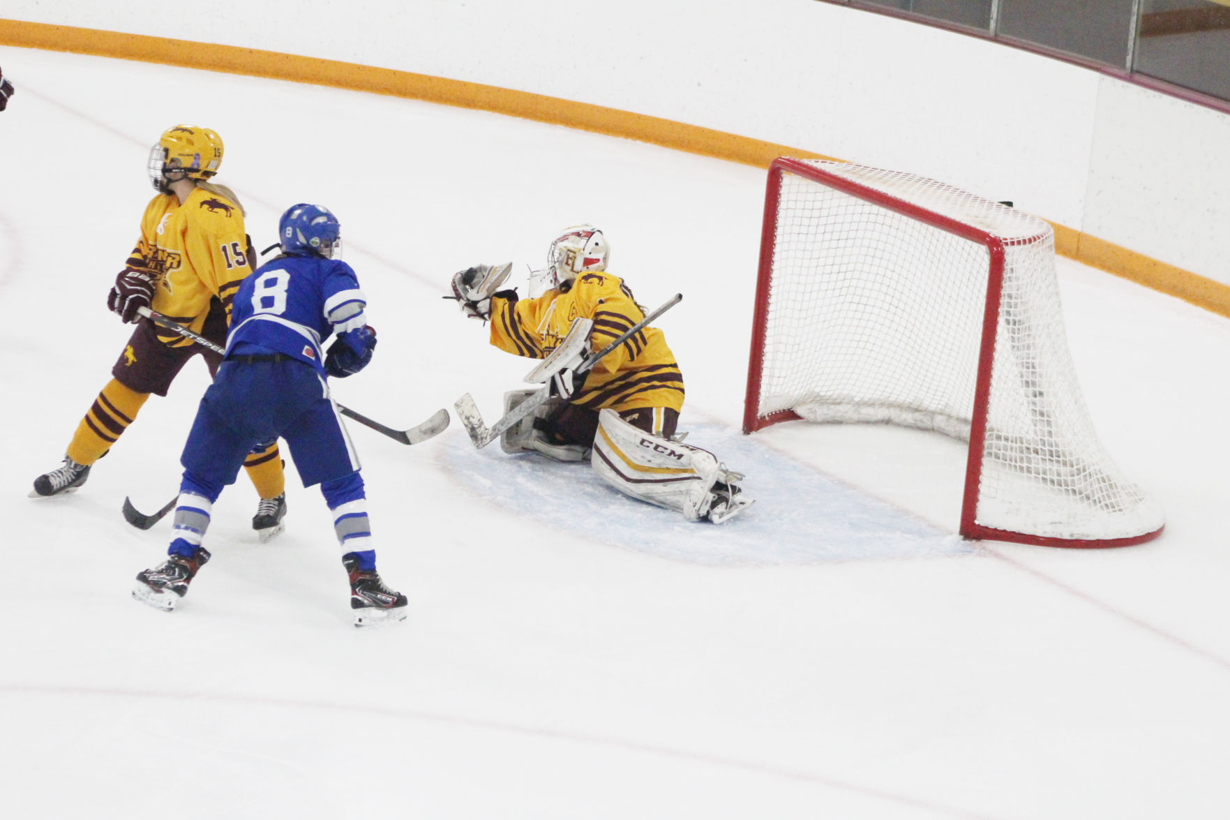 SP hockey save.jpg